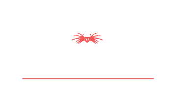 Mole Tours & Travel Limited